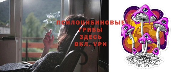 МДПВ Абаза