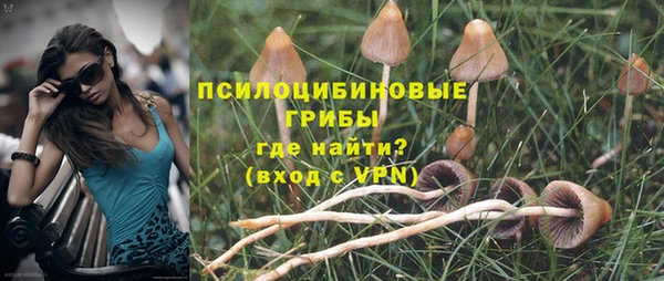 а пвп мука Алзамай