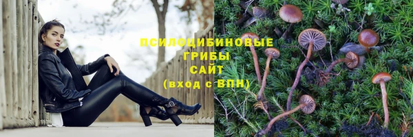 МДПВ Абаза
